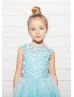 Turquoise Lace Tulle Flower Girl Dress Tutu Dress Birthday Girl Dress